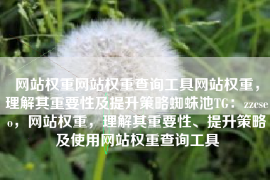 网站权重网站权重查询工具网站权重，理解其重要性及提升策略蜘蛛池TG：zzcseo，网站权重，理解其重要性、提升策略及使用网站权重查询工具