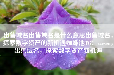 出售域名出售域名是什么意思出售域名，探索数字资产的新机遇蜘蛛池TG：zzcseo，出售域名，探索数字资产新机遇