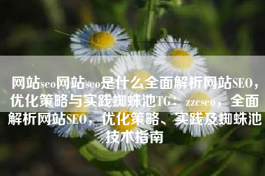 网站seo网站seo是什么全面解析网站SEO，优化策略与实践蜘蛛池TG：zzcseo，全面解析网站SEO，优化策略、实践及蜘蛛池技术指南