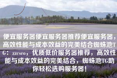 便宜服务器便宜服务器推荐便宜服务器，高效性能与成本效益的完美结合蜘蛛池TG：zzcseo，优质低价服务器推荐，高效性能与成本效益的完美结合，蜘蛛池TG助你轻松选购服务器！