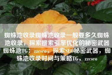 蜘蛛池收录蜘蛛池收录一般要多久蜘蛛池收录，探索搜索引擎优化的秘密武器蜘蛛池TG：zzcseo，探索SEO秘密武器，蜘蛛池收录时间与策略TG，zzcseo