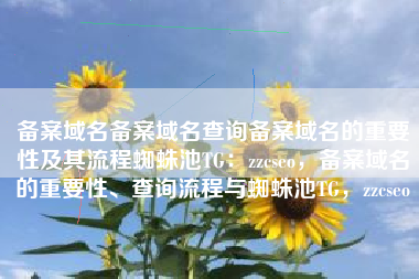 备案域名备案域名查询备案域名的重要性及其流程蜘蛛池TG：zzcseo，备案域名的重要性、查询流程与蜘蛛池TG，zzcseo