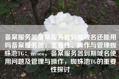备案服务器备案服务器到期域名还能用吗备案服务器，重要性、操作与管理蜘蛛池TG：zzcseo，备案服务器到期域名使用问题及管理与操作，蜘蛛池TG的重要性探讨