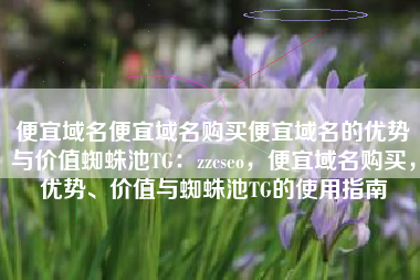 便宜域名便宜域名购买便宜域名的优势与价值蜘蛛池TG：zzcseo，便宜域名购买，优势、价值与蜘蛛池TG的使用指南