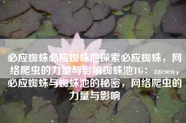 必应蜘蛛必应蜘蛛池探索必应蜘蛛，网络爬虫的力量与影响蜘蛛池TG：zzcseo，必应蜘蛛与蜘蛛池的秘密，网络爬虫的力量与影响