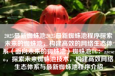 2025最新蜘蛛池2025最新蜘蛛池程序探索未来的蜘蛛池，构建高效的网络生态体系（面向未来的蜘蛛池）蜘蛛池TG：zzcseo，探索未来蜘蛛池技术，构建高效网络生态体系与最新蜘蛛池程序介绍