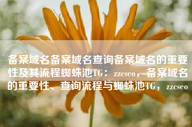 备案域名备案域名查询备案域名的重要性及其流程蜘蛛池TG：zzcseo，备案域名的重要性、查询流程与蜘蛛池TG，zzcseo