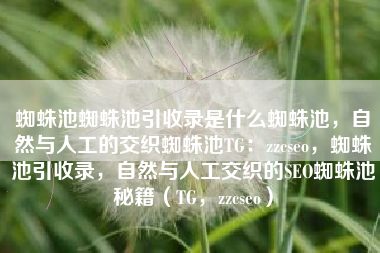蜘蛛池蜘蛛池引收录是什么蜘蛛池，自然与人工的交织蜘蛛池TG：zzcseo，蜘蛛池引收录，自然与人工交织的SEO蜘蛛池秘籍（TG，zzcseo）
