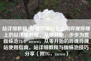 站详细教程_哔哩哔哩站怎么用哔哩哔哩上的站详细教程，从零开始，步步为营蜘蛛池TG：zzcseo，从零开始的哔哩哔哩站使用指南，站详细教程与蜘蛛池技巧分享（附TG，zzcseo）