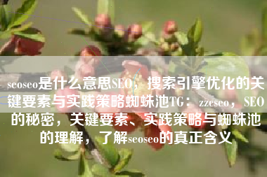 seoseo是什么意思SEO，搜索引擎优化的关键要素与实践策略蜘蛛池TG：zzcseo，SEO的秘密，关键要素、实践策略与蜘蛛池的理解，了解seoseo的真正含义
