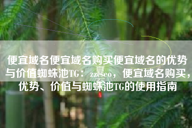 便宜域名便宜域名购买便宜域名的优势与价值蜘蛛池TG：zzcseo，便宜域名购买，优势、价值与蜘蛛池TG的使用指南