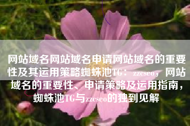 网站域名网站域名申请网站域名的重要性及其运用策略蜘蛛池TG：zzcseo，网站域名的重要性、申请策略及运用指南，蜘蛛池TG与zzcseo的独到见解