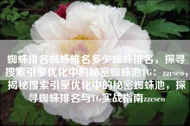 蜘蛛排名蜘蛛排名多少蜘蛛排名，探寻搜索引擎优化中的秘密蜘蛛池TG：zzcseo，揭秘搜索引擎优化中的秘密蜘蛛池，探寻蜘蛛排名与TG实战指南zzcseo
