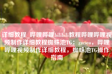 详细教程_哔哩哔哩bilibili教程哔哩哔哩视频制作详细教程蜘蛛池TG：zzcseo，哔哩哔哩视频制作详细教程，蜘蛛池TG操作指南