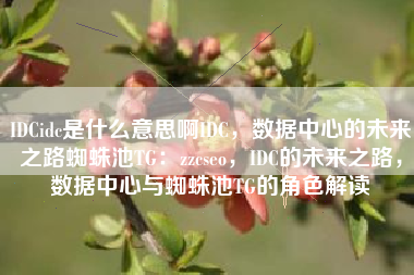 IDCidc是什么意思啊IDC，数据中心的未来之路蜘蛛池TG：zzcseo，IDC的未来之路，数据中心与蜘蛛池TG的角色解读