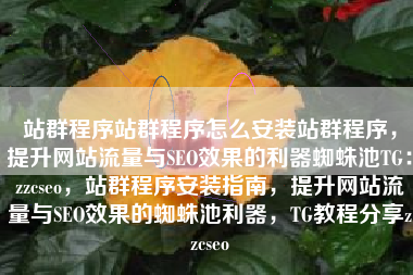 站群程序站群程序怎么安装站群程序，提升网站流量与SEO效果的利器蜘蛛池TG：zzcseo，站群程序安装指南，提升网站流量与SEO效果的蜘蛛池利器，TG教程分享zzcseo