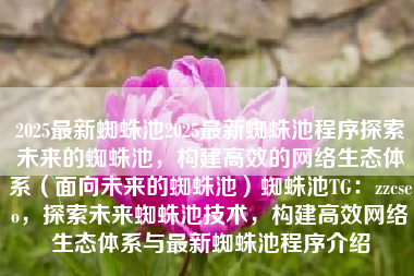 2025最新蜘蛛池2025最新蜘蛛池程序探索未来的蜘蛛池，构建高效的网络生态体系（面向未来的蜘蛛池）蜘蛛池TG：zzcseo，探索未来蜘蛛池技术，构建高效网络生态体系与最新蜘蛛池程序介绍
