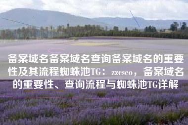 备案域名备案域名查询备案域名的重要性及其流程蜘蛛池TG：zzcseo，备案域名的重要性、查询流程与蜘蛛池TG详解