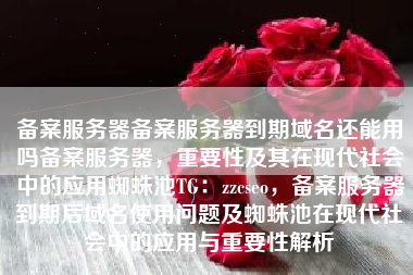 备案服务器备案服务器到期域名还能用吗备案服务器，重要性及其在现代社会中的应用蜘蛛池TG：zzcseo，备案服务器到期后域名使用问题及蜘蛛池在现代社会中的应用与重要性解析