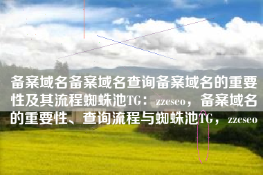 备案域名备案域名查询备案域名的重要性及其流程蜘蛛池TG：zzcseo，备案域名的重要性、查询流程与蜘蛛池TG，zzcseo
