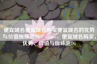 便宜域名便宜域名购买便宜域名的优势与价值蜘蛛池TG：zzcseo，便宜域名购买，优势、价值与蜘蛛池TG