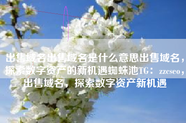 出售域名出售域名是什么意思出售域名，探索数字资产的新机遇蜘蛛池TG：zzcseo，出售域名，探索数字资产新机遇