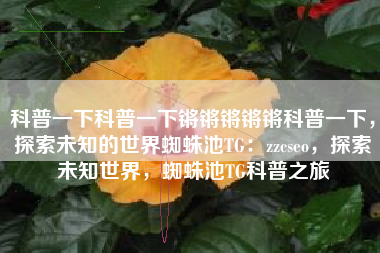 科普一下科普一下锵锵锵锵锵科普一下，探索未知的世界蜘蛛池TG：zzcseo，探索未知世界，蜘蛛池TG科普之旅