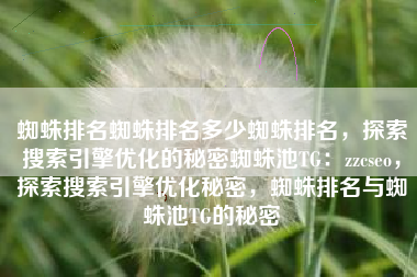 蜘蛛排名蜘蛛排名多少蜘蛛排名，探索搜索引擎优化的秘密蜘蛛池TG：zzcseo，探索搜索引擎优化秘密，蜘蛛排名与蜘蛛池TG的秘密