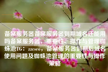备案服务器备案服务器到期域名还能用吗备案服务器，重要性、操作与管理蜘蛛池TG：zzcseo，备案服务器到期后域名使用问题及蜘蛛池管理的重要性与操作策略