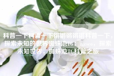 科普一下科普一下锵锵锵锵锵科普一下，探索未知的世界蜘蛛池TG：zzcseo，探索未知世界，蜘蛛池TG科普之旅
