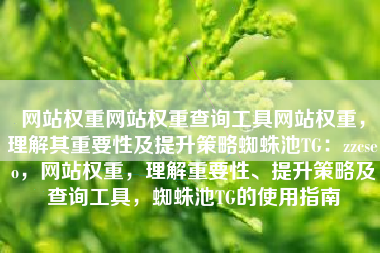 网站权重网站权重查询工具网站权重，理解其重要性及提升策略蜘蛛池TG：zzcseo，网站权重，理解重要性、提升策略及查询工具，蜘蛛池TG的使用指南