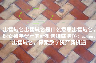 出售域名出售域名是什么意思出售域名，探索数字资产的新机遇蜘蛛池TG：zzcseo，出售域名，探索数字资产新机遇
