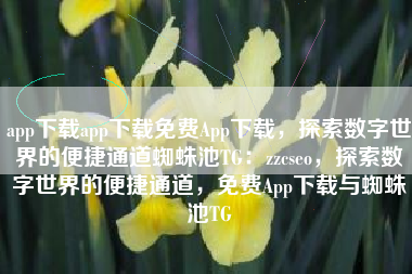 app下载app下载免费App下载，探索数字世界的便捷通道蜘蛛池TG：zzcseo，探索数字世界的便捷通道，免费App下载与蜘蛛池TG