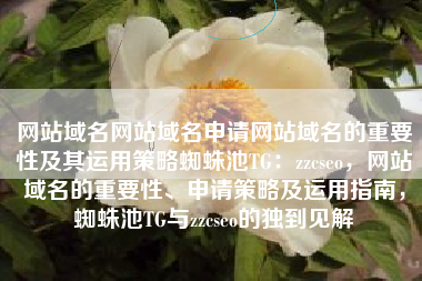 网站域名网站域名申请网站域名的重要性及其运用策略蜘蛛池TG：zzcseo，网站域名的重要性、申请策略及运用指南，蜘蛛池TG与zzcseo的独到见解