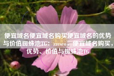 便宜域名便宜域名购买便宜域名的优势与价值蜘蛛池TG：zzcseo，便宜域名购买，优势、价值与蜘蛛池TG