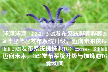 哔哩哔哩_bilibili_2025发布系统哔哩哔哩2050哔哩哔哩发布系统升级，迈向未来的Bilibili 2025发布系统蜘蛛池TG：zzcseo，Bilibili迈向未来，2025发布系统升级与蜘蛛池TG新动向