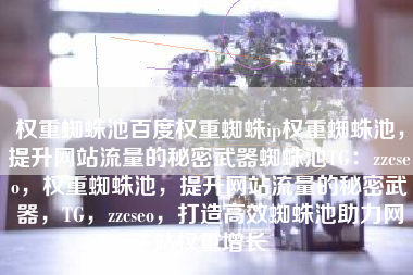 权重蜘蛛池百度权重蜘蛛ip权重蜘蛛池，提升网站流量的秘密武器蜘蛛池TG：zzcseo，权重蜘蛛池，提升网站流量的秘密武器，TG，zzcseo，打造高效蜘蛛池助力网站权重增长