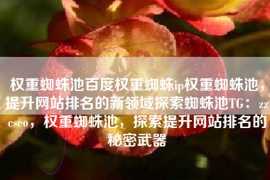 权重蜘蛛池百度权重蜘蛛ip权重蜘蛛池，提升网站排名的新领域探索蜘蛛池TG：zzcseo，权重蜘蛛池，探索提升网站排名的秘密武器