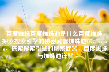 百度蜘蛛百度蜘蛛池是什么百度蜘蛛，探索搜索引擎的秘密武器蜘蛛池TG：zzcseo，探索搜索引擎的秘密武器，百度蜘蛛与蜘蛛池详解