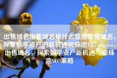 出售域名出售域名是什么意思出售域名，探索数字资产的新机遇蜘蛛池TG：zzcseo，出售域名，探索数字资产新机遇与蜘蛛池SEO策略