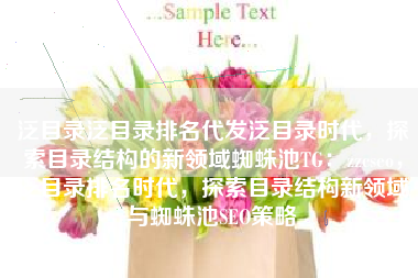 泛目录泛目录排名代发泛目录时代，探索目录结构的新领域蜘蛛池TG：zzcseo，泛目录排名时代，探索目录结构新领域与蜘蛛池SEO策略