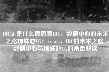 IDCidc是什么意思啊IDC，数据中心的未来之路蜘蛛池TG：zzcseo，IDC的未来之路，数据中心与蜘蛛池TG的角色解读