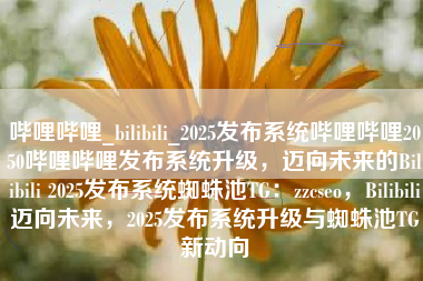 哔哩哔哩_bilibili_2025发布系统哔哩哔哩2050哔哩哔哩发布系统升级，迈向未来的Bilibili 2025发布系统蜘蛛池TG：zzcseo，Bilibili迈向未来，2025发布系统升级与蜘蛛池TG新动向
