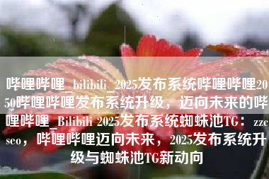 哔哩哔哩_bilibili_2025发布系统哔哩哔哩2050哔哩哔哩发布系统升级，迈向未来的哔哩哔哩_Bilibili 2025发布系统蜘蛛池TG：zzcseo，哔哩哔哩迈向未来，2025发布系统升级与蜘蛛池TG新动向