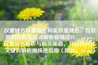 权重域名权重域名购买权重域名，互联网时代的关键词解析蜘蛛池TG：zzcseo，权重域名解析与购买策略，互联网时代关键词解析蜘蛛池指南（附TG，zzcseo）