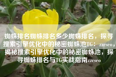 蜘蛛排名蜘蛛排名多少蜘蛛排名，探寻搜索引擎优化中的秘密蜘蛛池TG：zzcseo，揭秘搜索引擎优化中的秘密蜘蛛池，探寻蜘蛛排名与TG实战指南zzcseo