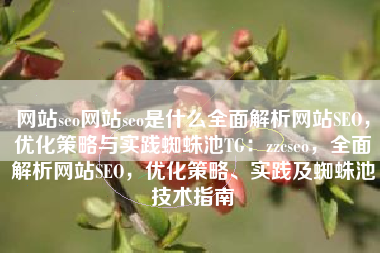 网站seo网站seo是什么全面解析网站SEO，优化策略与实践蜘蛛池TG：zzcseo，全面解析网站SEO，优化策略、实践及蜘蛛池技术指南