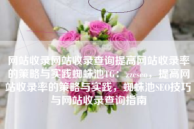 网站收录网站收录查询提高网站收录率的策略与实践蜘蛛池TG：zzcseo，提高网站收录率的策略与实践，蜘蛛池SEO技巧与网站收录查询指南