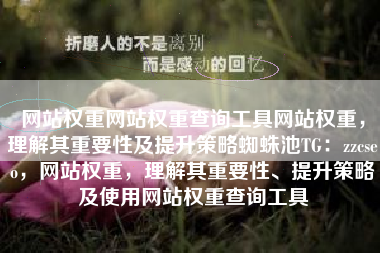 网站权重网站权重查询工具网站权重，理解其重要性及提升策略蜘蛛池TG：zzcseo，网站权重，理解其重要性、提升策略及使用网站权重查询工具
