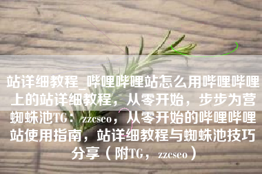 站详细教程_哔哩哔哩站怎么用哔哩哔哩上的站详细教程，从零开始，步步为营蜘蛛池TG：zzcseo，从零开始的哔哩哔哩站使用指南，站详细教程与蜘蛛池技巧分享（附TG，zzcseo）